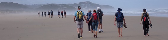 Garden Route Coastal Meander